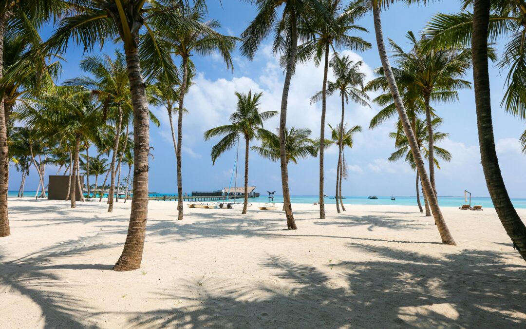 Reasons to Choose RD Assistance for Your Villa Rental